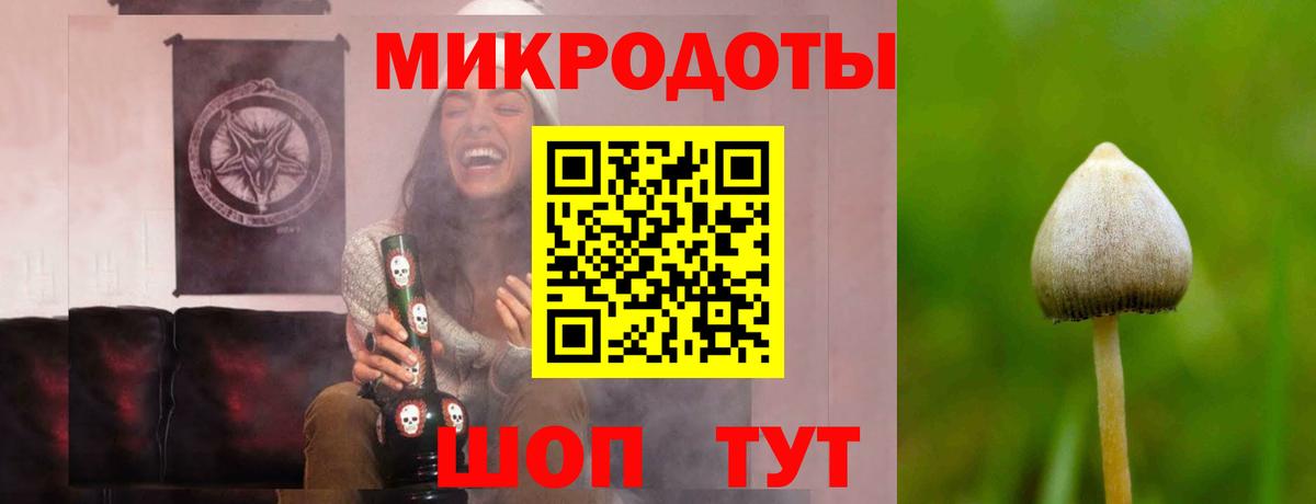 Борзя  Галлюциногенные грибы прущие грибы  Вход с VPN 